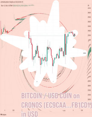Bitcoin dolar tradingview