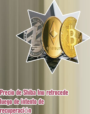 Criptomonedas precio