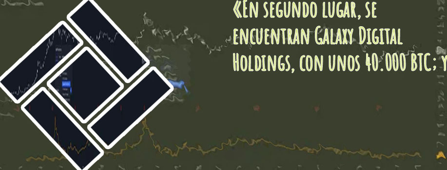 Mstr btc holdings