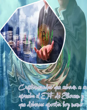 Subirán las criptomonedas